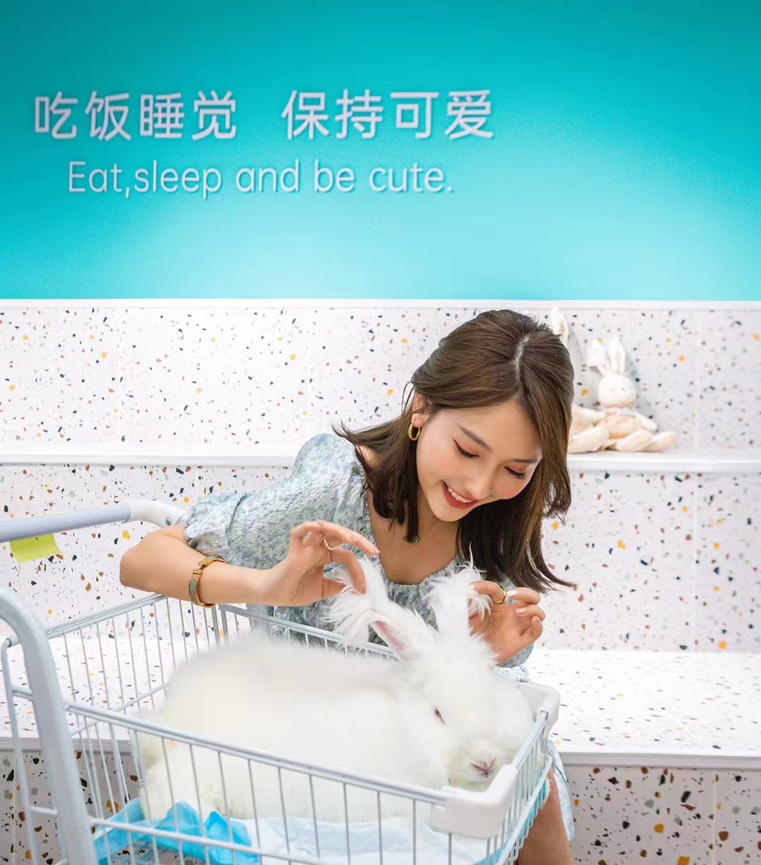 蒙陰長毛兔的三種配種方式