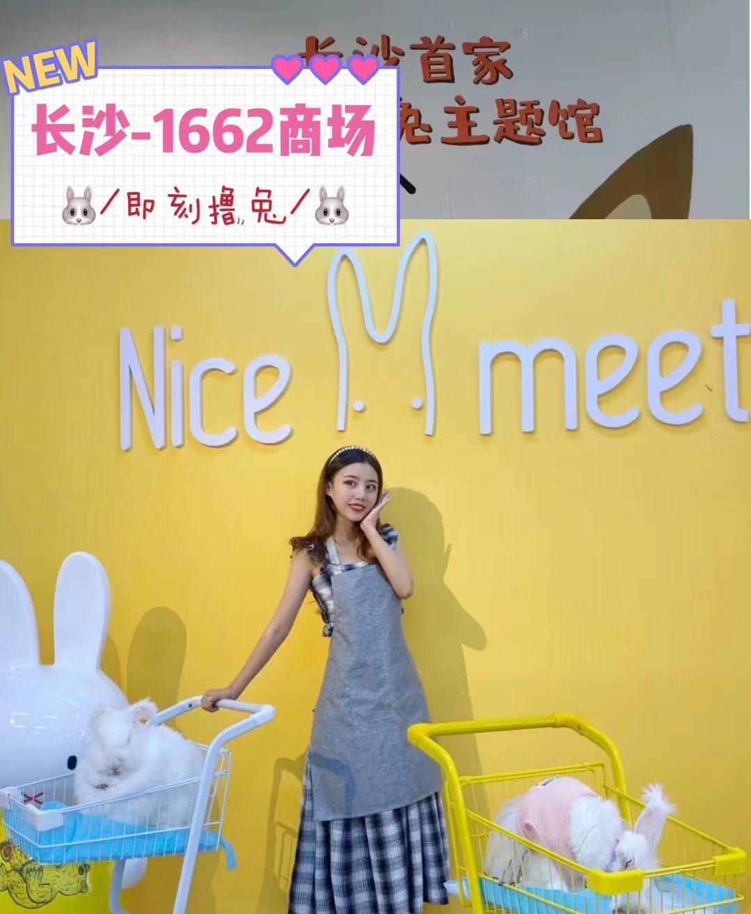 如何避免長毛兔品種退化？