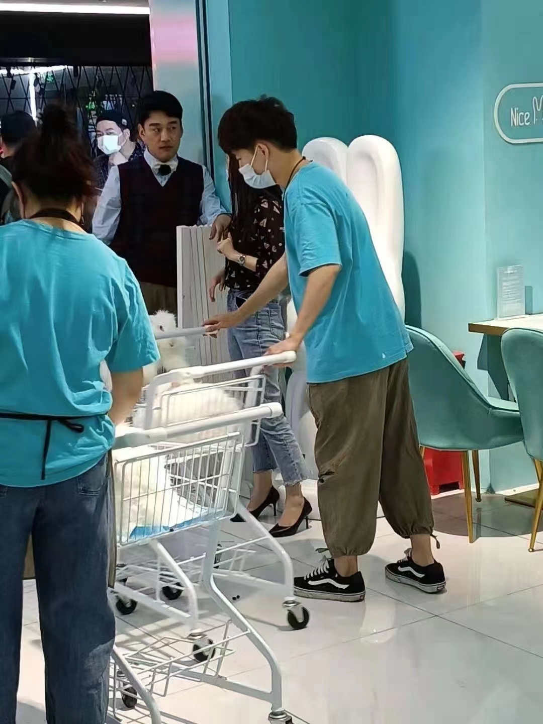 長毛兔的種類和飼養(yǎng)注意事項(xiàng)